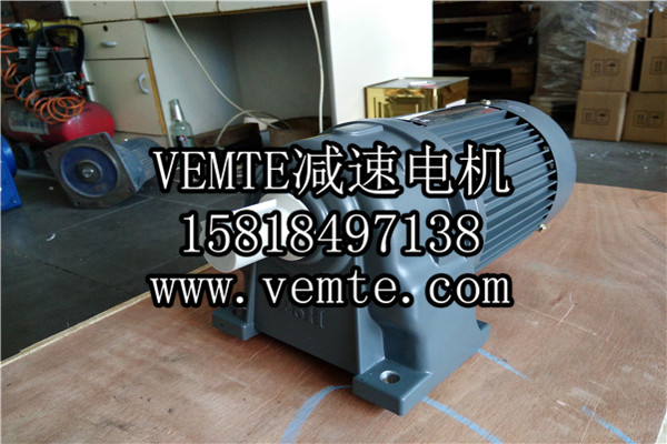 齒輪減速馬達(dá)3